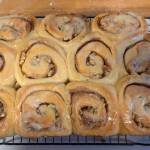 Just-baked cinnamon rolls ready to serve. (Photo by Patty Schied)