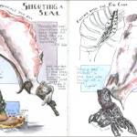 (Illustration by Stephanie Harold)