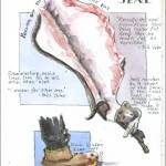 (Illustration by Stephanie Harold)
