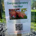 A sign at Evergreen Cemetery features a QR code that links to a digital map showing where more than 100 donated trees can be located. (Laurie Craig / For the Juneau Empire)