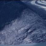 Don Miller took this photograph of a Lituya Bay hillside shortly after the giant wave in 1958. (Photo by Don Miller)