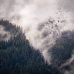 The Tongass National Forest on Prince of Wales Island. Photo by Colin Arisman courtesy of SEACC.