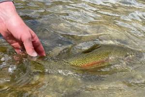 Courtesy of Jeff Lund
The author and his stepdad both loved fly fishing, but never fly fished together.