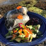 Spring rolls with dog salmon (Vivian Faith Prescott | Capital City Weekly)