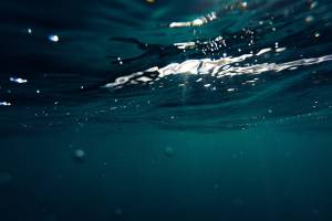 Fish Factor: Tiny cod fish reappearing around Kodiak